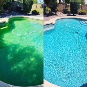 algea killer in Pakistan